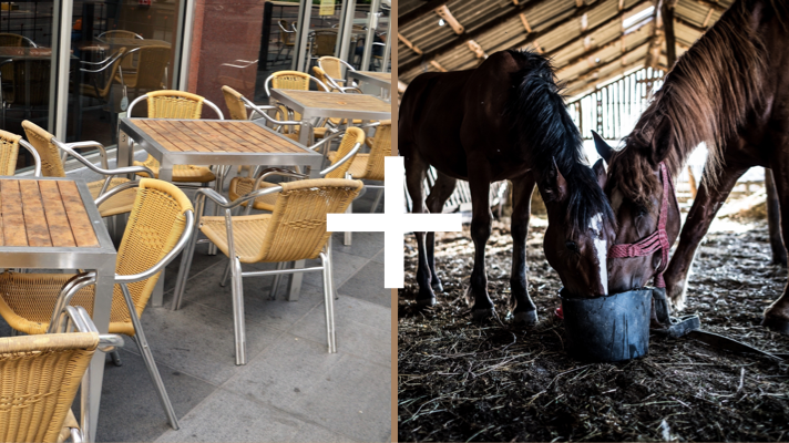 An empty restaurant on the left panel and two horses feeding on the right panel with a large plus sign between them